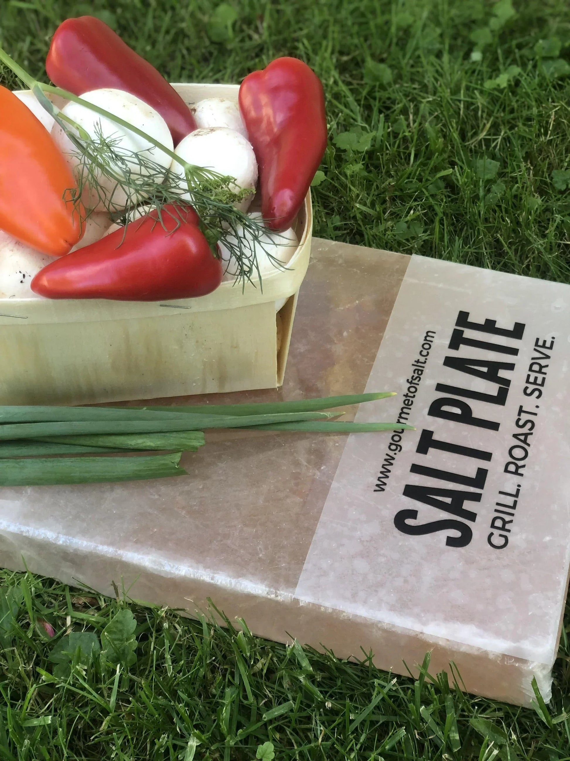 Fresh peppers, mushrooms, and herbs in a basket beside a salt plate for grilling outdoors