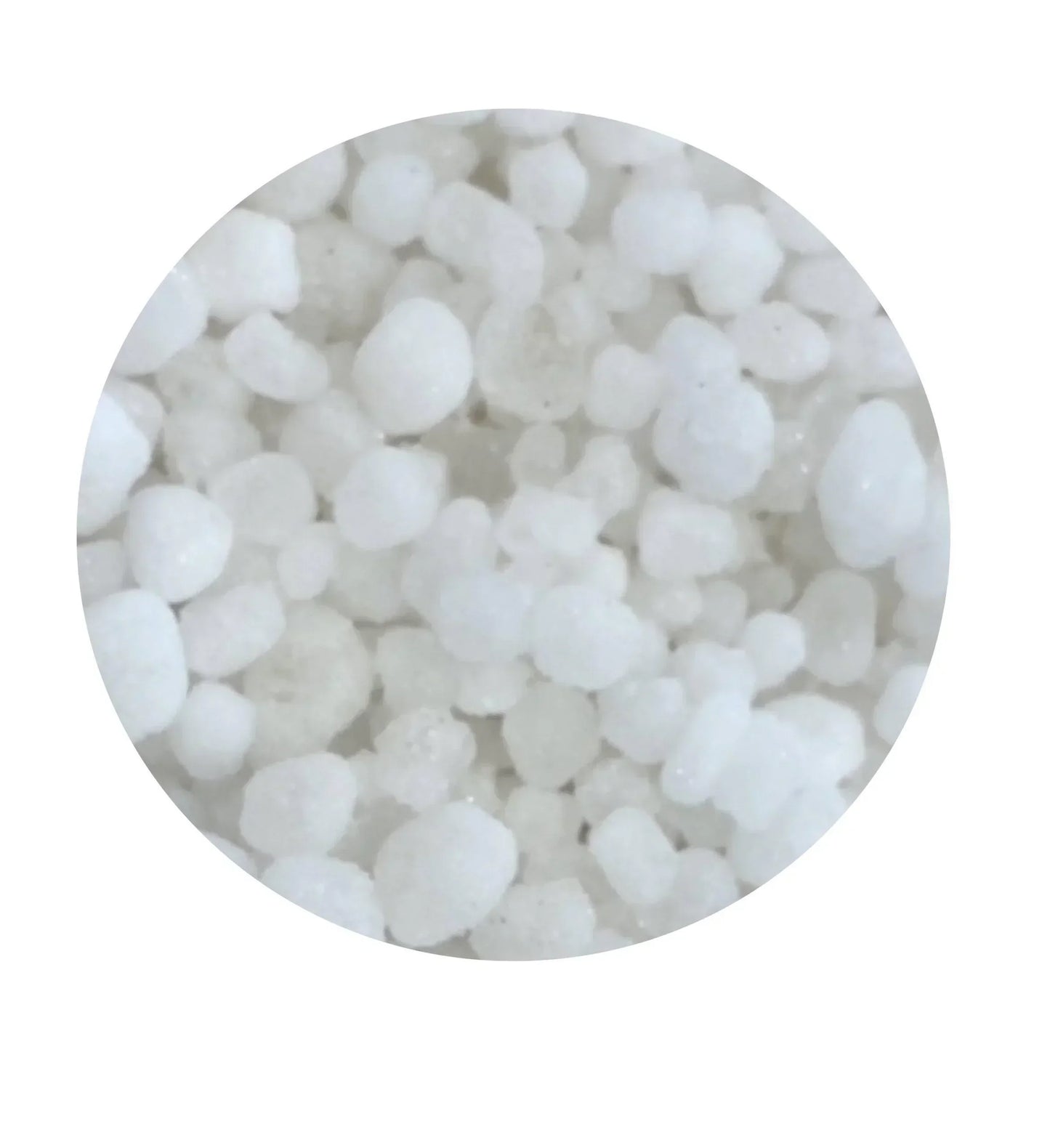 Close-up of coarse white sea salt crystals from Spice n Slice Market
