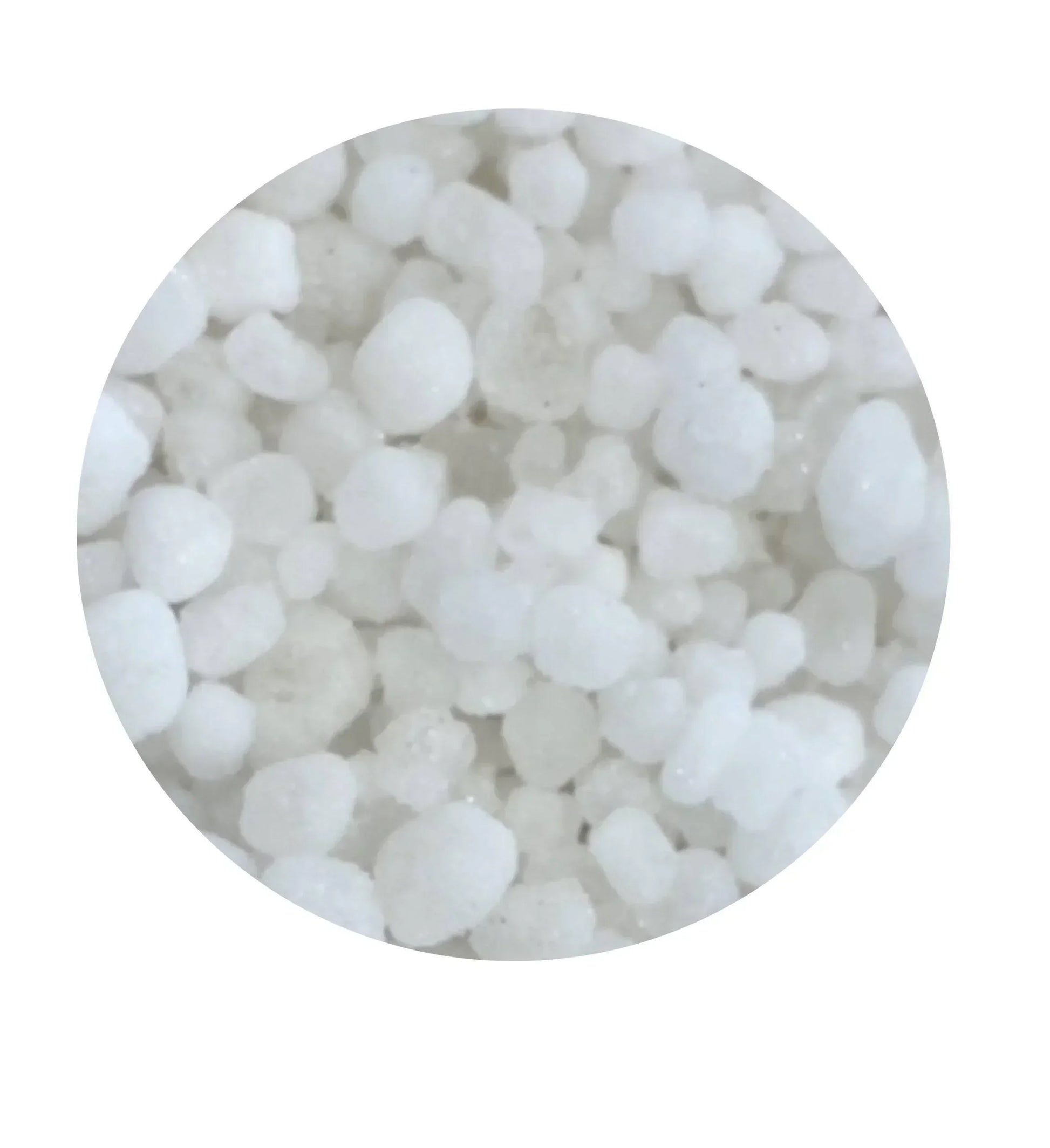Close-up of coarse white sea salt crystals from Spice n Slice Market
