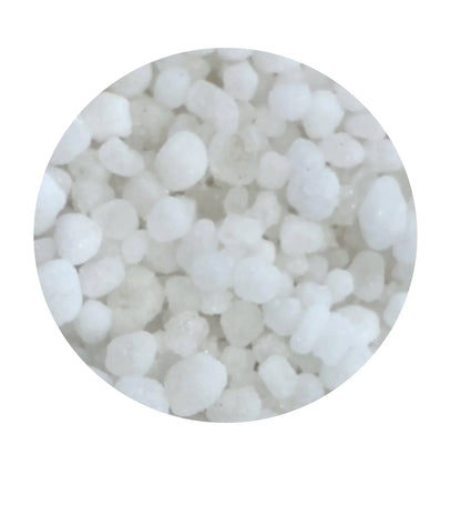 Close-up of coarse white sea salt crystals from Spice n Slice Market