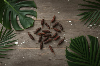 Long pepper pods on rustic wooden surface with tropical green leaves, spice ingredient