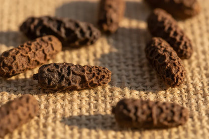 Whole dried long pepper spices on woven burlap surface, close-up, natural light