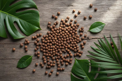 Whole black peppercorns on rustic wood with tropical leaves, spice background