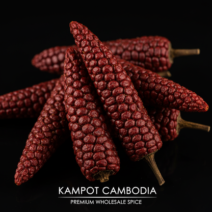 Red long pepper macro close up deep burgundy elongated spikes on black background