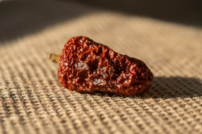 Close-up macro of Chiloe pepper